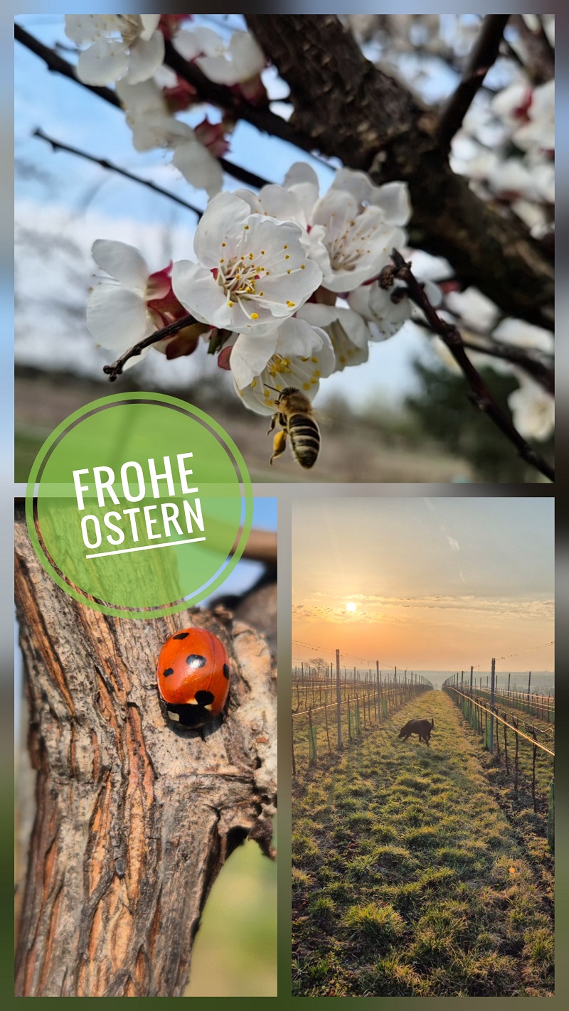 Ostergrüße 2026